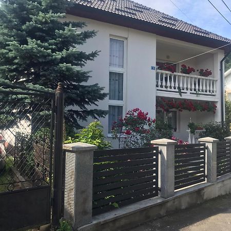 Pensiunea Grapini Sant Екстериор снимка