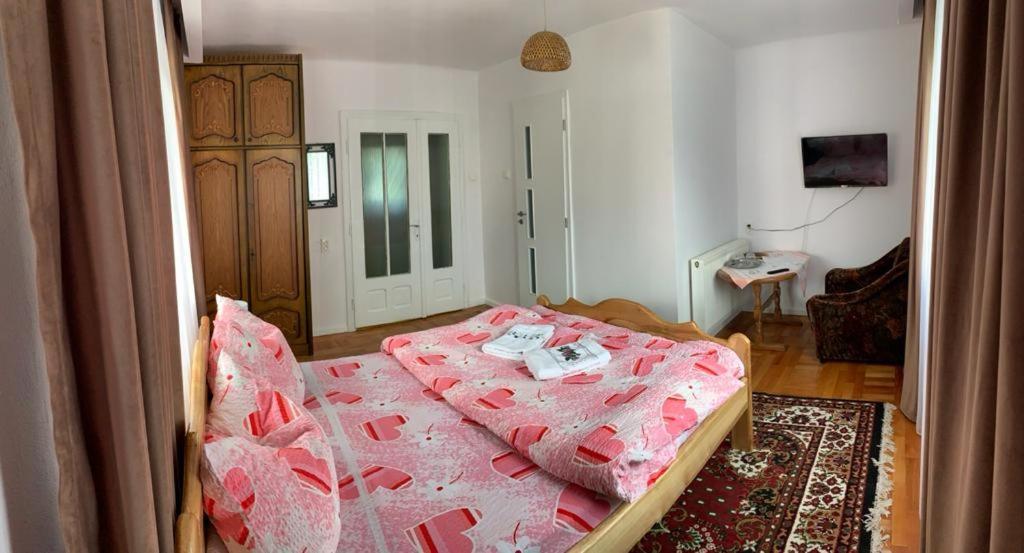 Pensiunea Grapini Sant Екстериор снимка