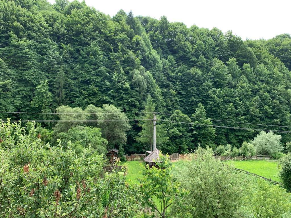 Pensiunea Grapini Sant Екстериор снимка